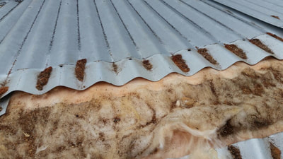 Insulation with roofing installers in Maryborough